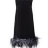 Prada Black Feather-trimmed Crêpe Minidress — image 1