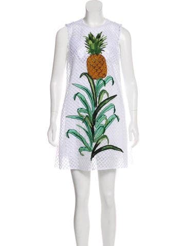 Dolce & Gabbana 2017 Embroidered Dress