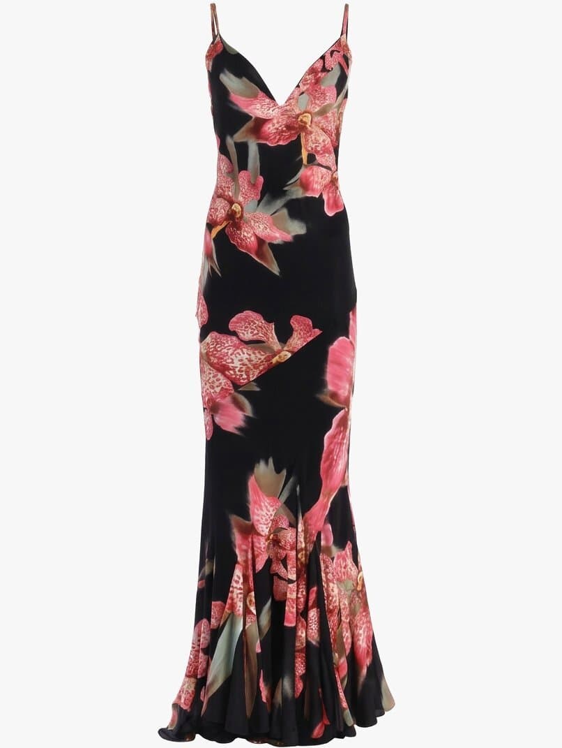 Roberto Cavalli Silk Printed Maxi Dress