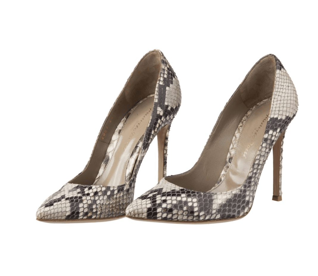 Gianvito Rossi Snake Print Pumps