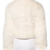 Antonio Leather-trimmed Fox Fur Jacket — image 3