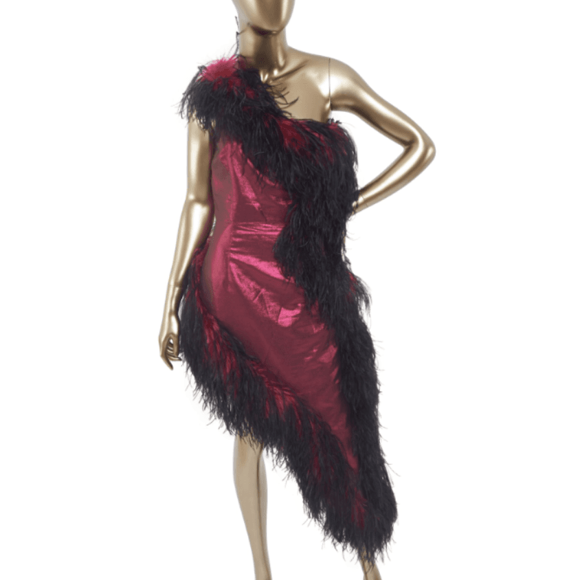 16arlington Asymmetrical Lamé Feather Trimmed Dress