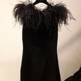 16 Arlington Yasmin Feather Trimmed Mini Dress — image 1