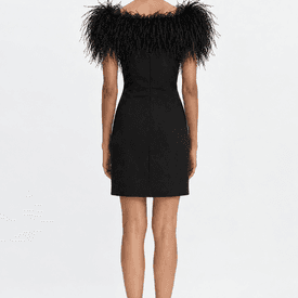 16 Arlington Yasmin Feather Trimmed Mini Dress — image 11