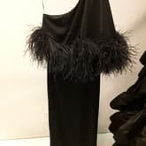 16 Arlington Adler Feather Cape Gown — image 1