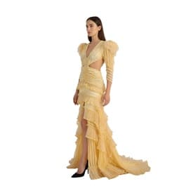 Raisa Vanessa Ruffled Yellow Maxi Dress — image 7