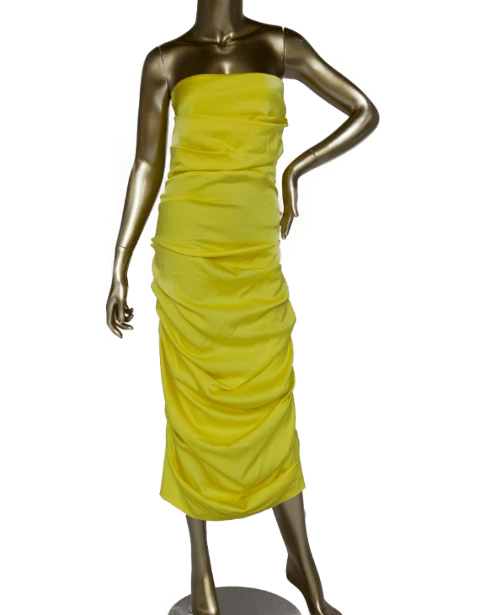 Alex Perry Ruched Strapless Mini Dress