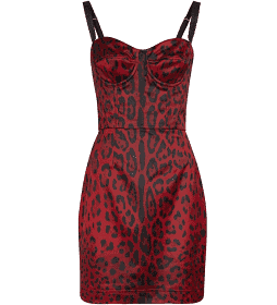 Dolce & Gabbana Corset Red Leopard Mini Dress