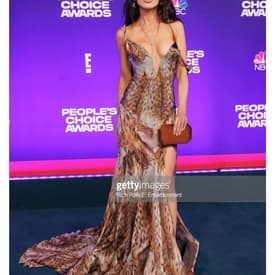 Roberto Cavalli Vintage Animal Print Gown — image 1