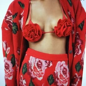 Magda Butrym 3d Flower Triangle Bra Top In Red 38 — image 2