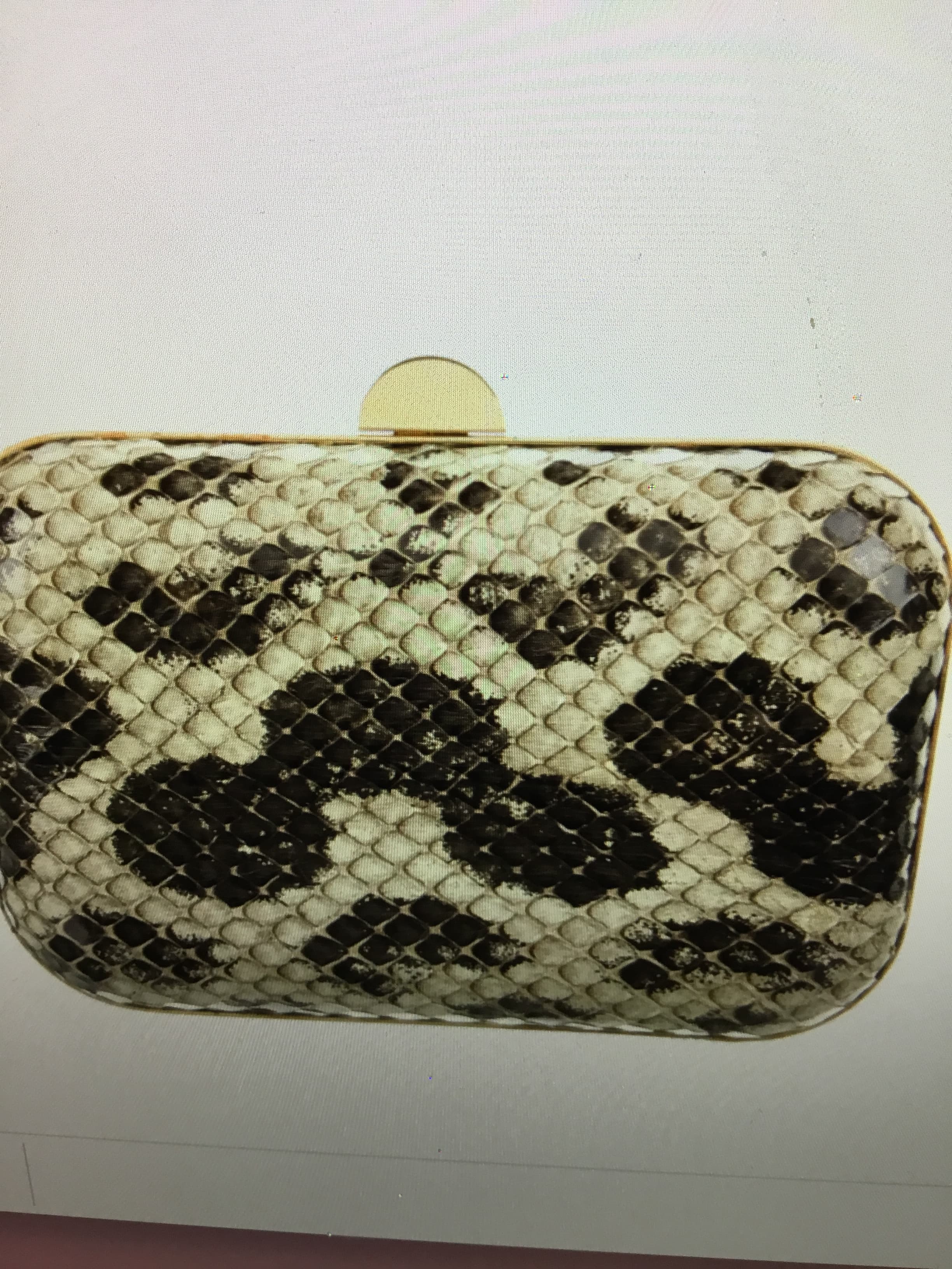 Tom Ford Snakeskin Clutch