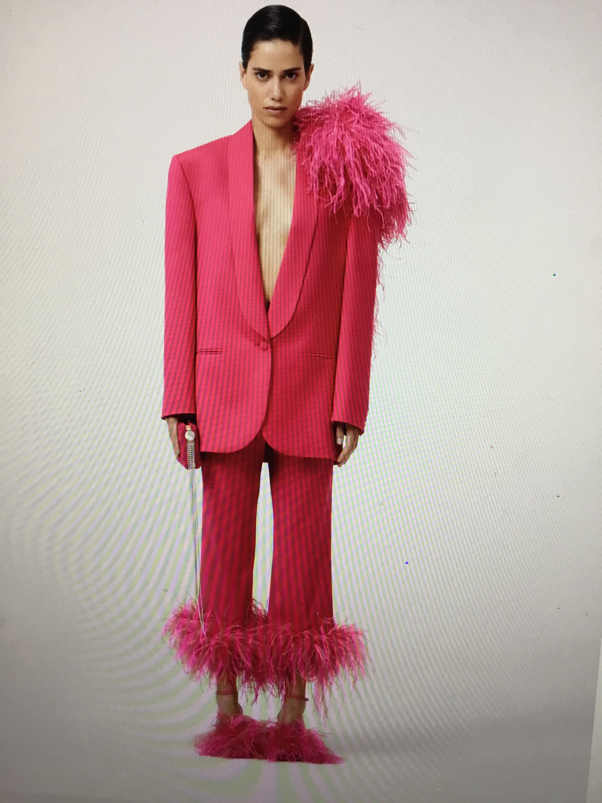 Magda Butrym Feather-embellished Single-breasted Blazer In Pink