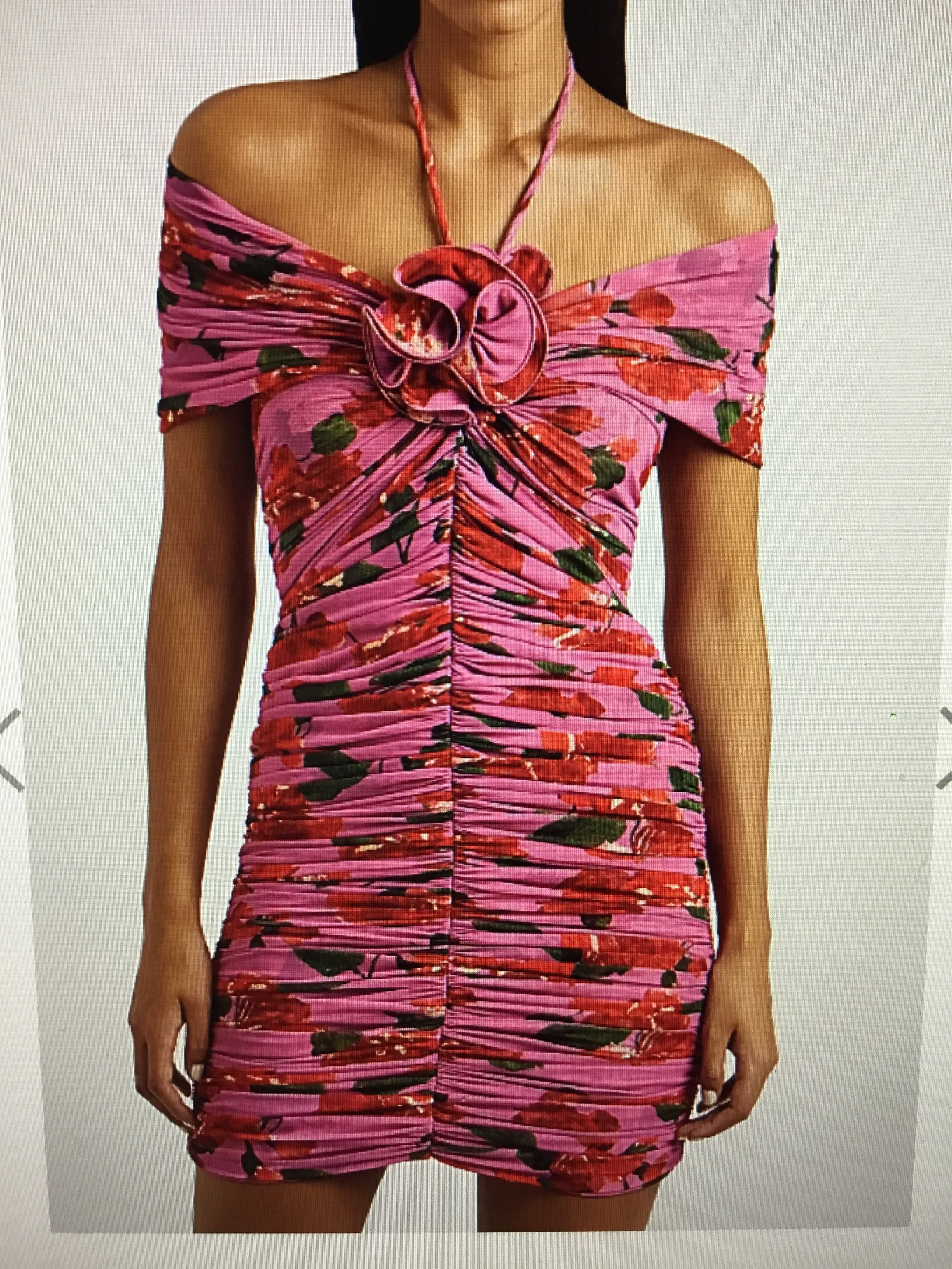 Magda Buytrm Floral-print Ruched Mesh Mini Dress
