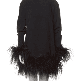 Taller Marmo Turtleneck Mini Dress With Feather Trim — image 1