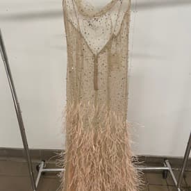 Reve Riche Sheer Embellished Feather Gown — image 1