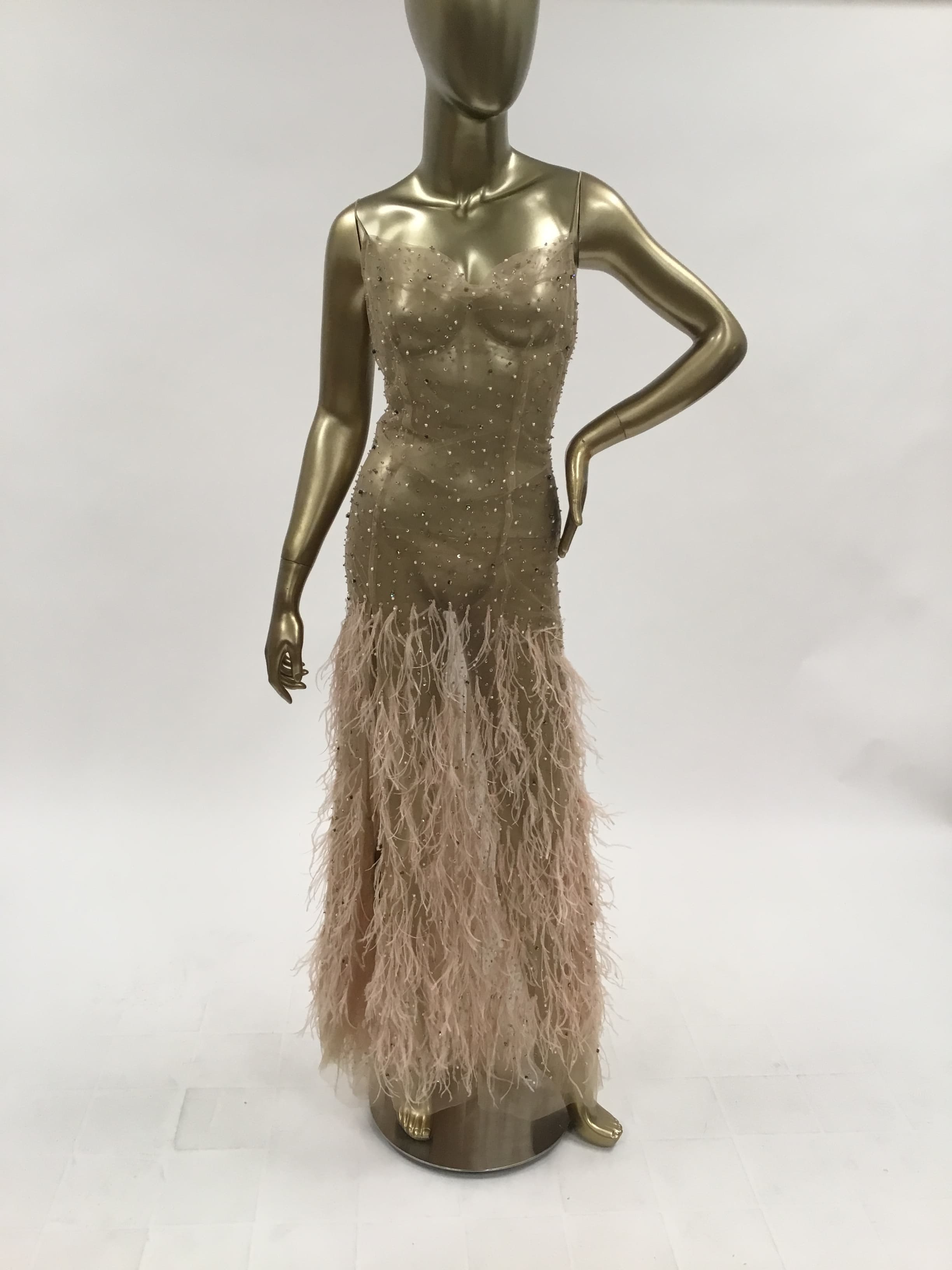 Reve Riche Sheer Embellished Feather Gown