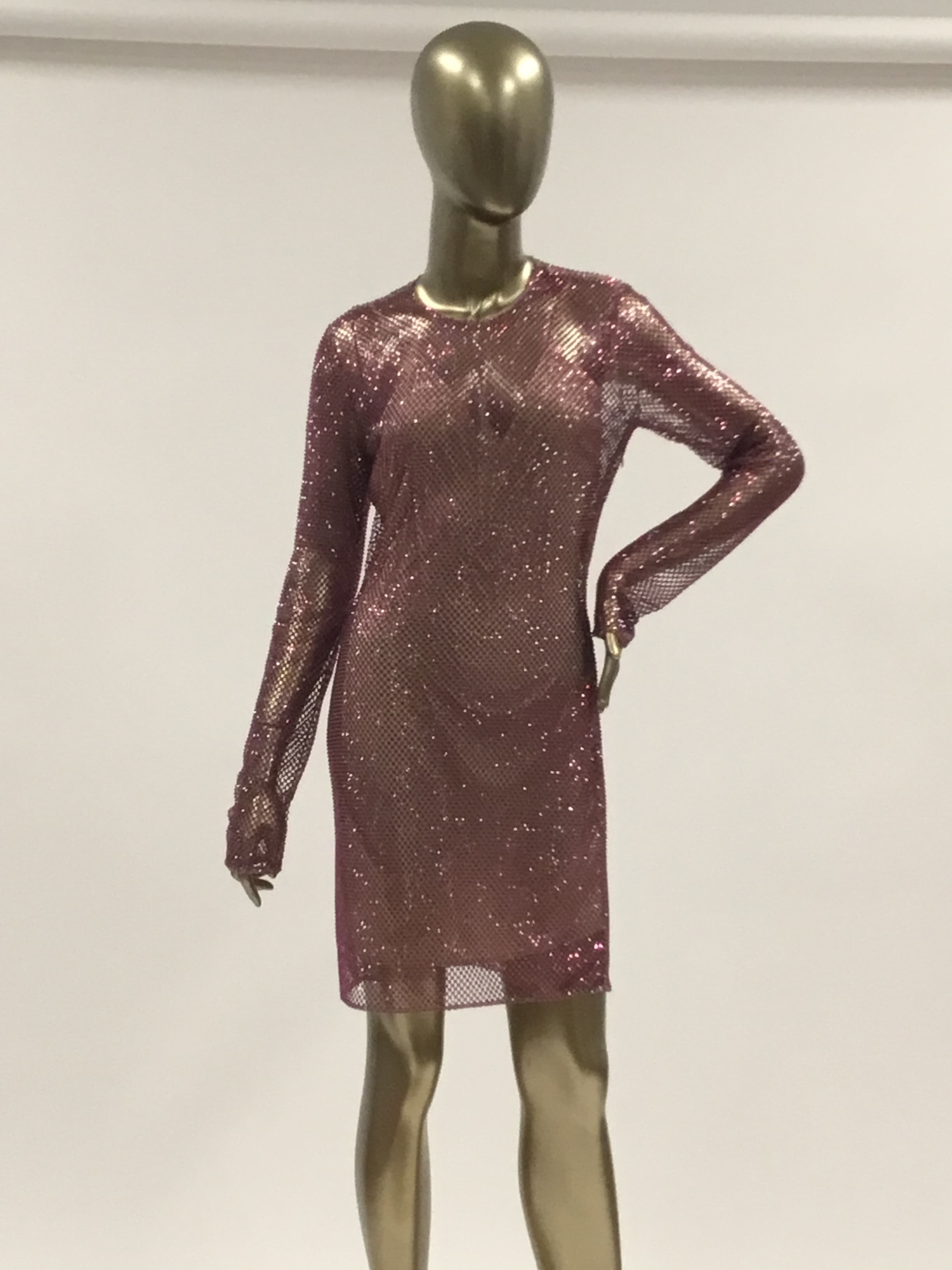Stella Mccartney Netted Sheer Crystal Embellished Dress