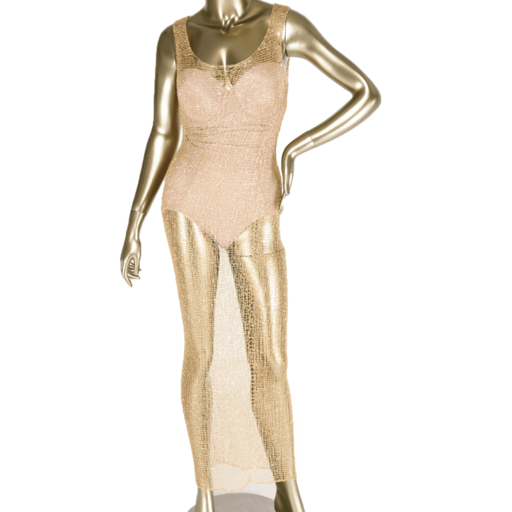 Natalia Fedner Stretch Metal Gown