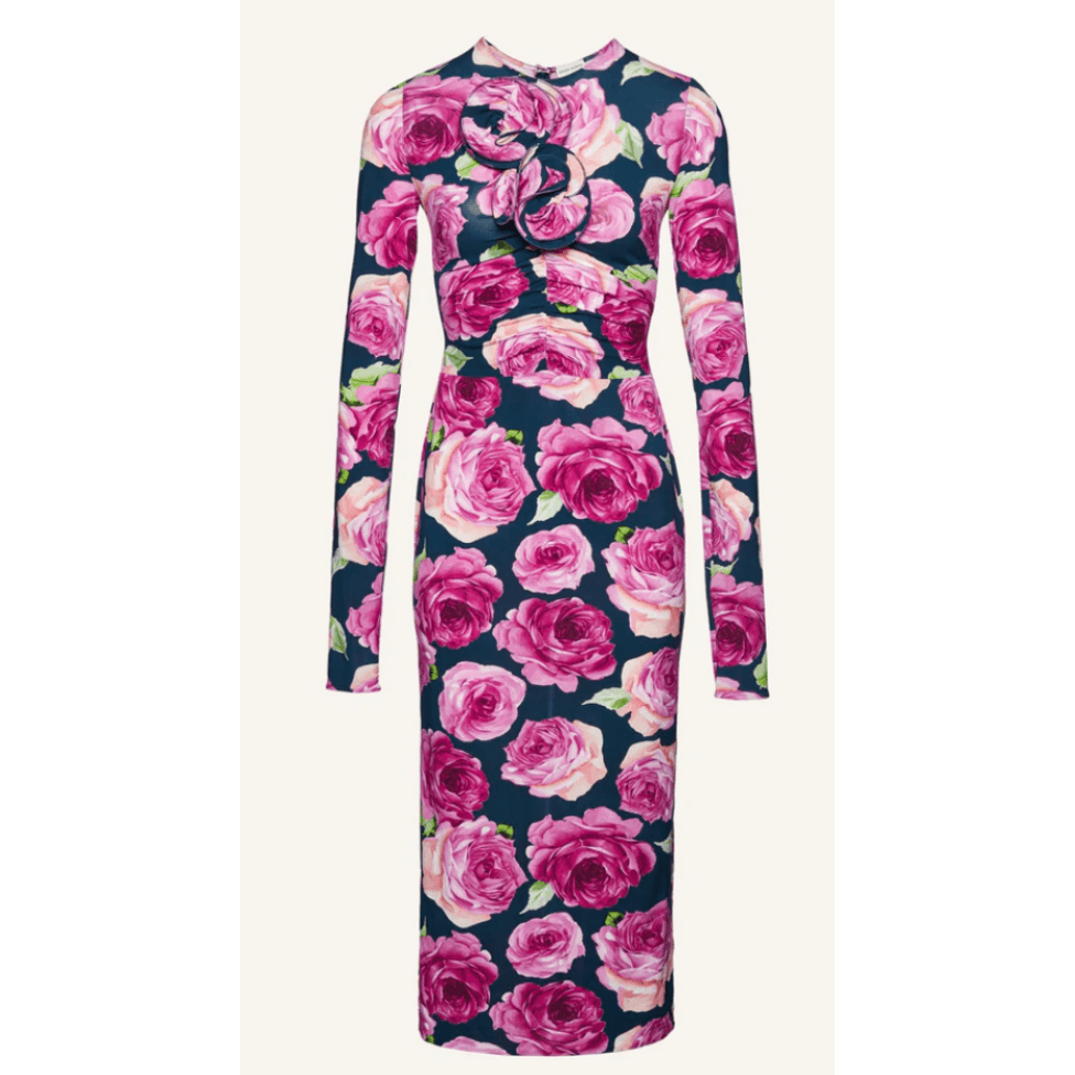 Magda Butrym Long Sleeve Floral Print Dress