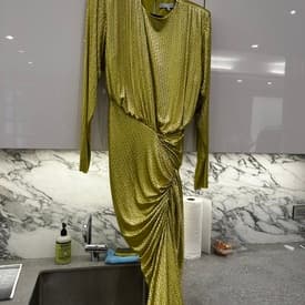 Raisa Vanessa Yellow Green Rhinestone Gown Size 44 — image 1