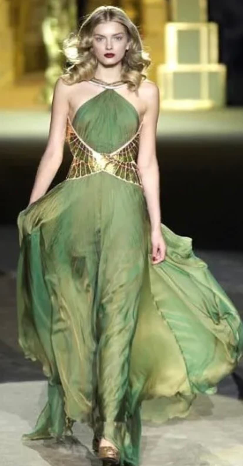 Roberto Cavalli Metallic Halter And Backless Gown