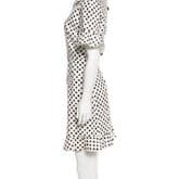 Dolce & Gabbana Polka Dot Ruffle-trimmed Dress — image 2