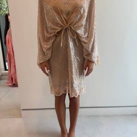Elie Saab Sequin Embellished Mini Dress With Silk Lining And Lace Trim — image 1