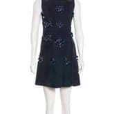 Miu Miu Suede Embellished Dress — image 1
