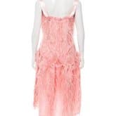Oscar De La Renta Silk Feather-trimmed Dress — image 3