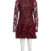 Sandra Mansour Fall 2016 Floral Lace Mini Dress — image 1